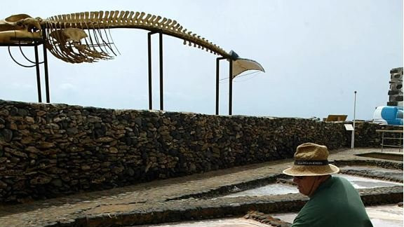 Tehnološke promene, ako budu bile efikasne, mogu dovesti do okončanja nasukavanja kitova