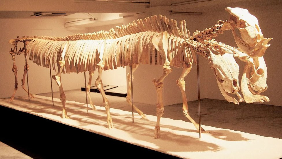 Hipotetičko „Nepoznato stvorenje - troglavo čudovište"