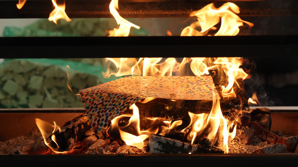 One of Damien Hirst's artworks being burned