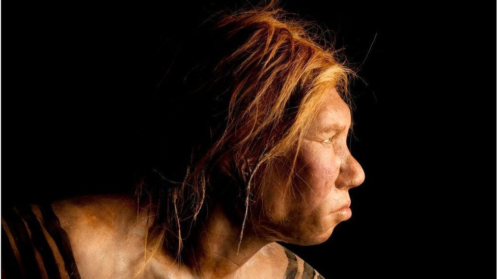 The Neanderthal woman was re-created and built by Dutch artists Andrie and Alfons Kennis.