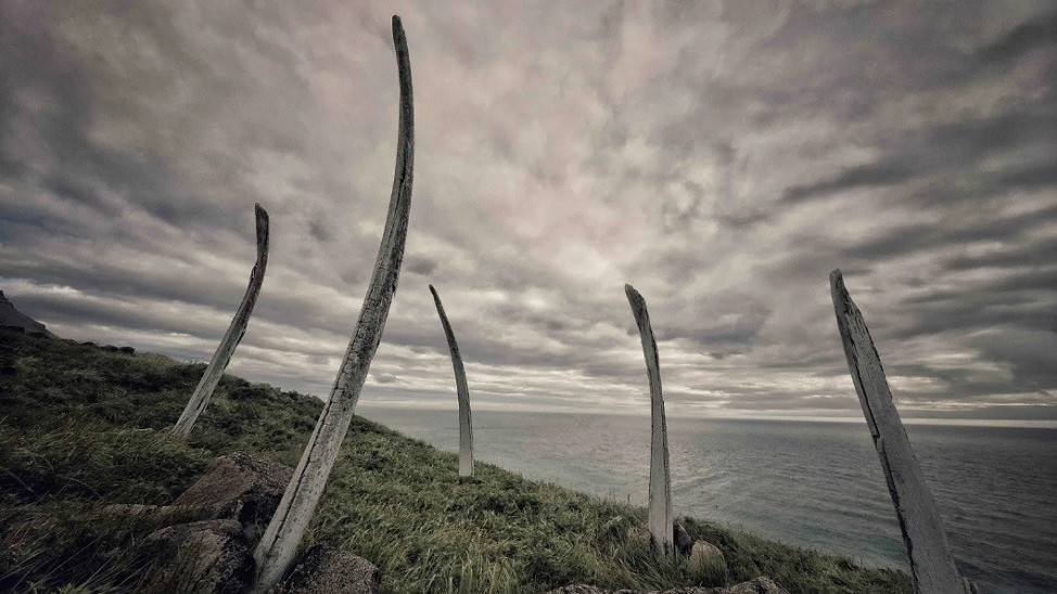 Aleja kitovih kostiju, Rusija