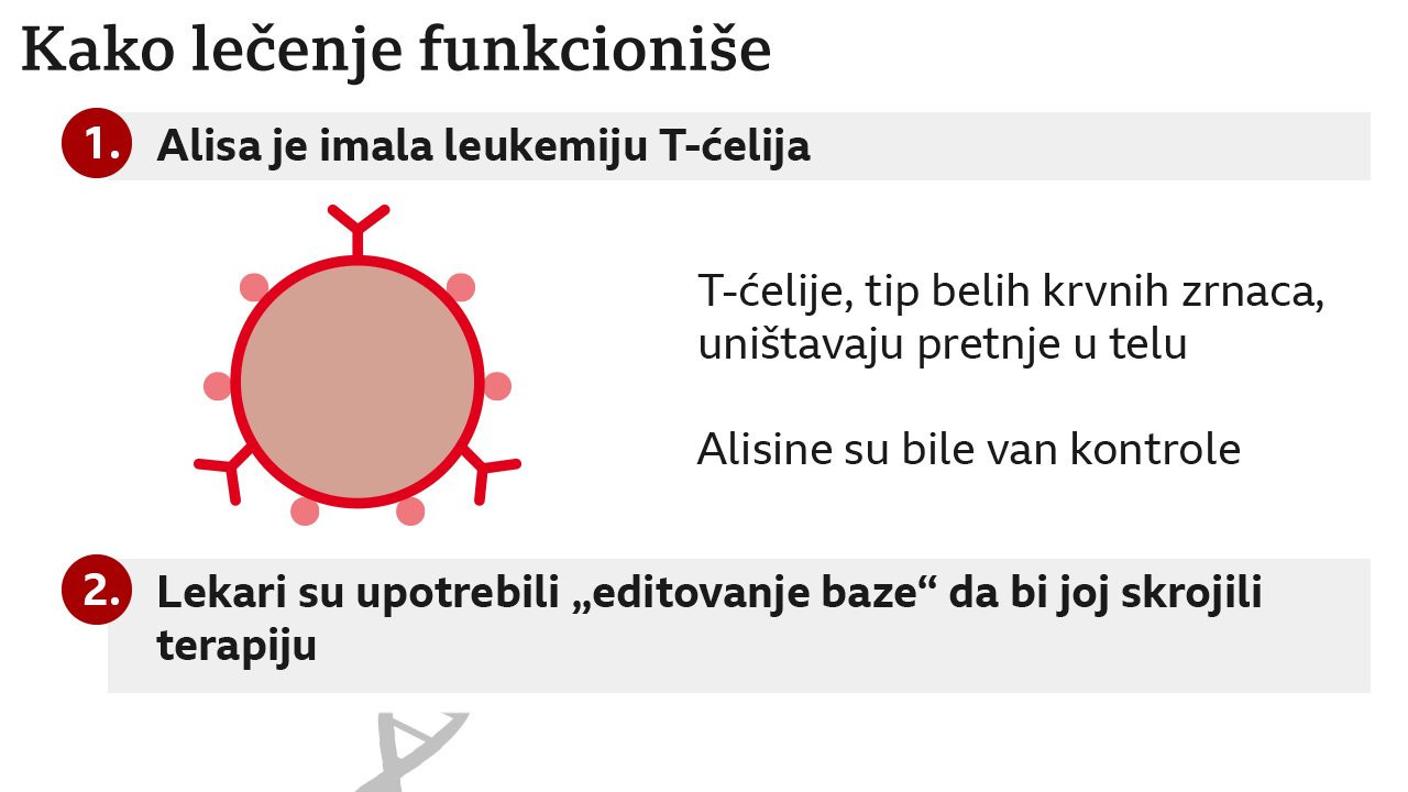 kako lečenje funkcioniše
