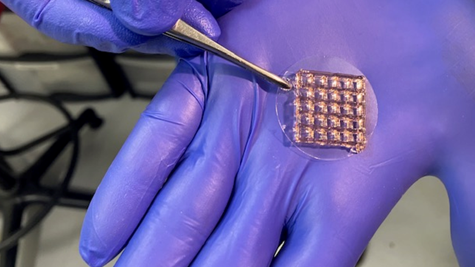 Matične ćelije mogu se bioštampati u bilo koji oblik