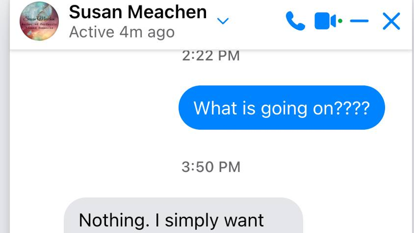 Screen shot from Susan Meachen