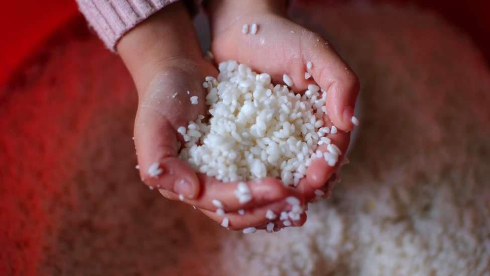 Packing Banh Chung (sticky rice cake), a traditional Vietnamese rice cake which is made from glutinous rice, mung beans, pork and other ingredients, being held in someone's hands above a vat of rice
