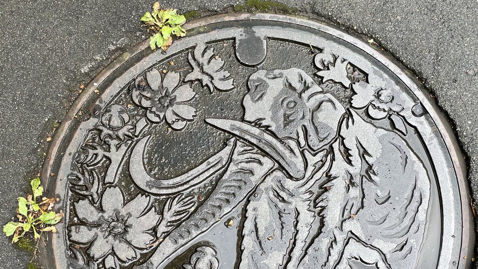 A manhole cover showing the elephant