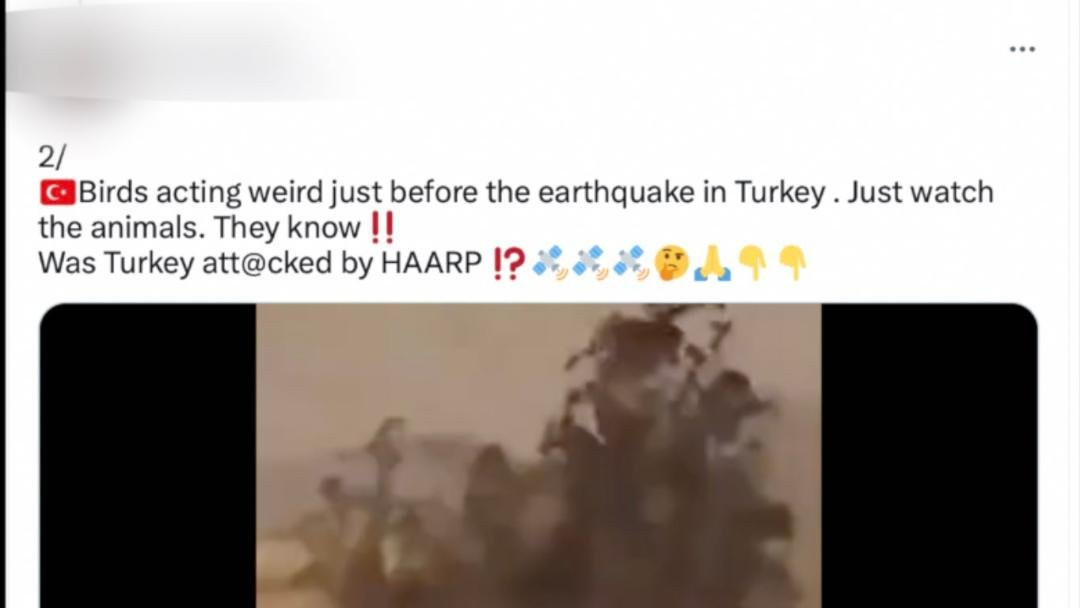 Screenshot of a tweet featuring a video of birds and falsely claiming that the animals were 'acting weird' before the earthquake and asking if Turkey 'was attacked by HAARP?'.