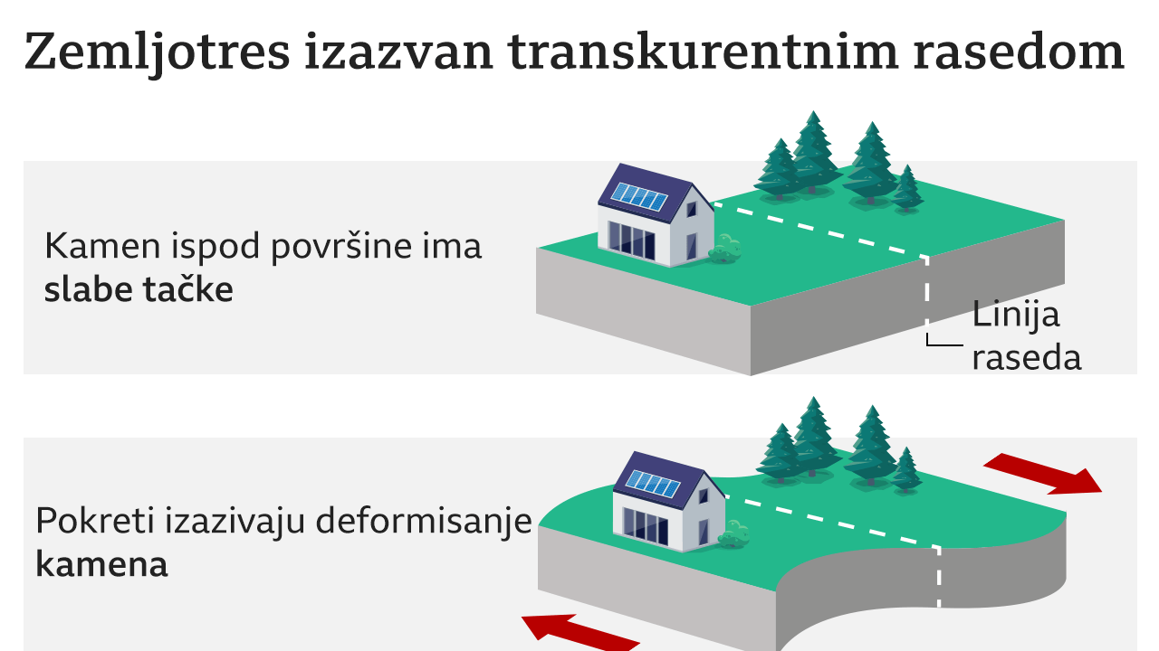 Transkurentni rased