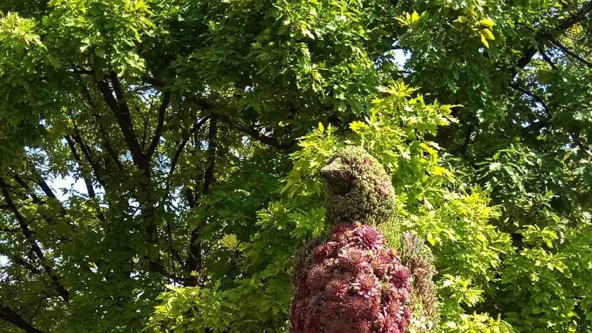 Skulptura od cveća na Adi Ciganliji u obliku vrapca