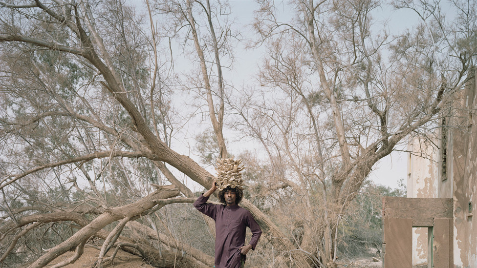 Portrait of a man standing by a tree