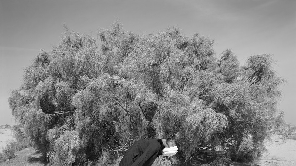 Portret čoveka pored žbunja