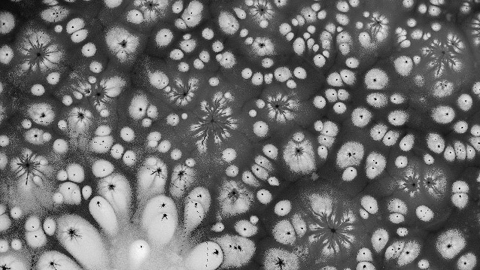 Vazdušni snimak zamrznutog jezera u Poljskoj