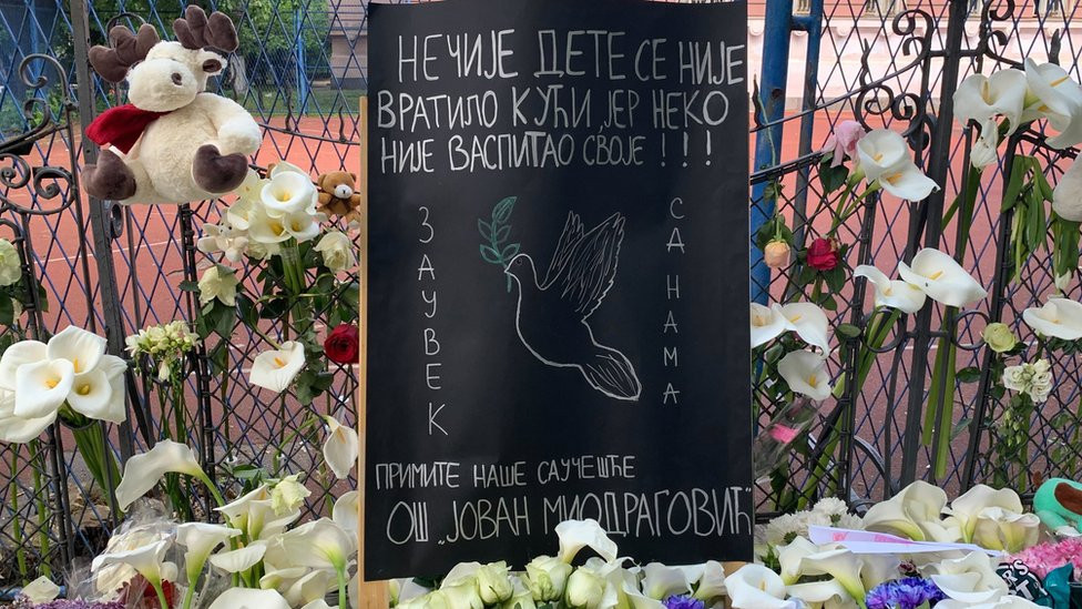 Ispred škole Vladislav Ribnikar