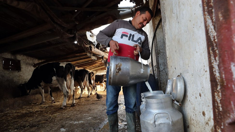 mlekar, stočar, poljoprivrednik