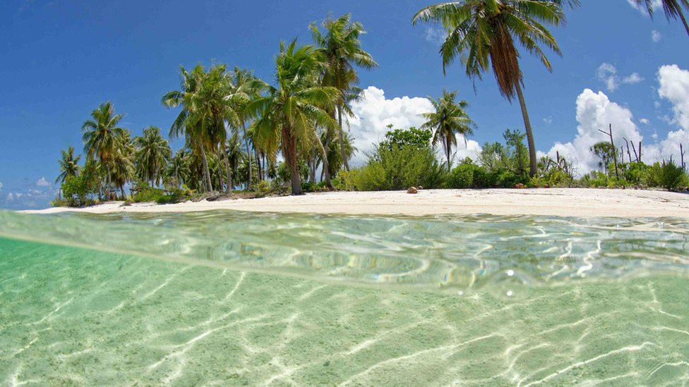 French Polynesia, Rangiroa: Reef Island, islet (motu), translucent water of the lagoon.