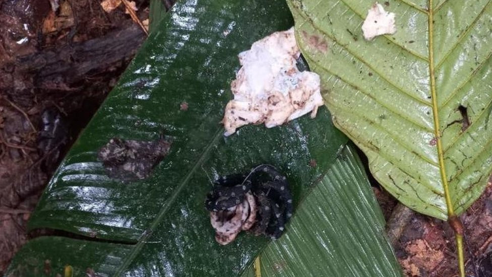 The remnants of an improvised shelter with scissors and hair clips were found earlier in May. Image released on 19 May