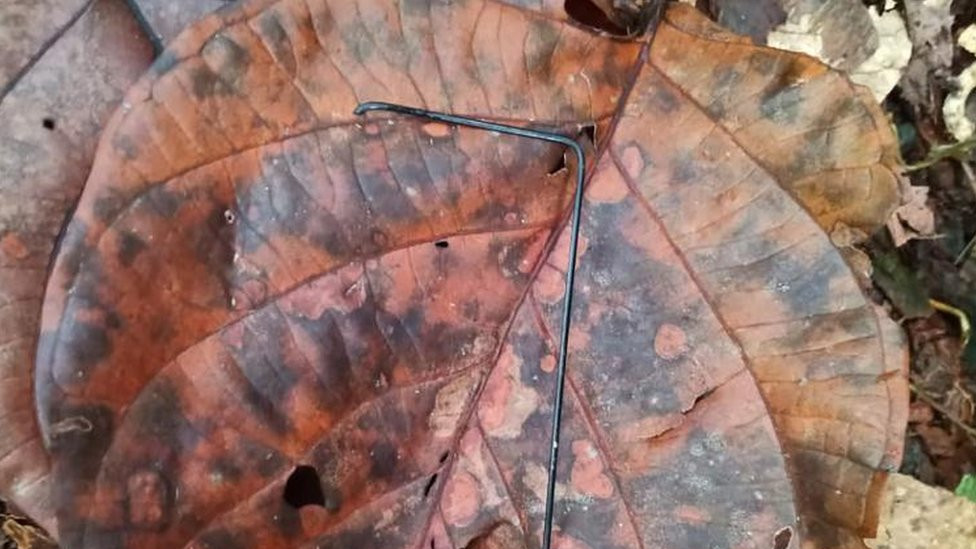 A piece of metal which authorities said was from a mobile phone was found in the jungle on 23 May