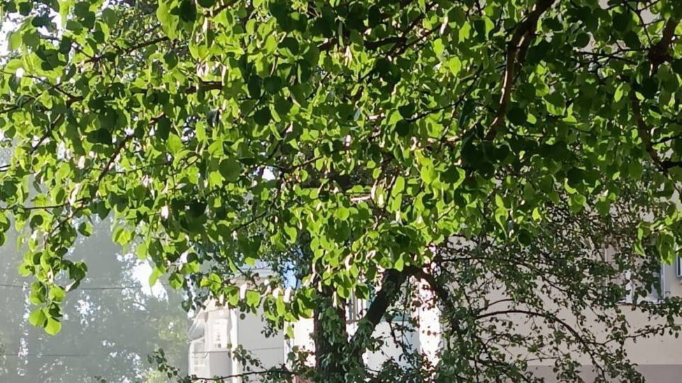 Broj povređenih u granatiranju grada Valujki porastao je na osam