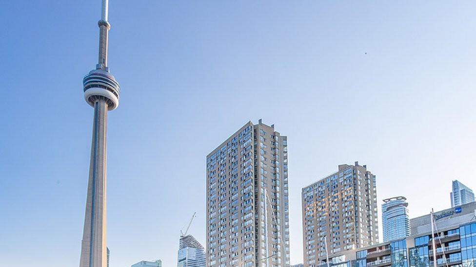 Pas Moli i njegov vlasnik Tobi Hips