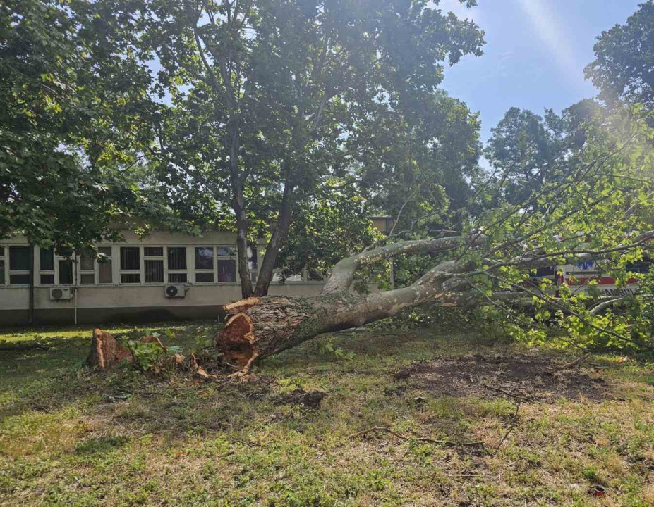 FOTO: JKP &#8222;Komunalne službe&#8220;
