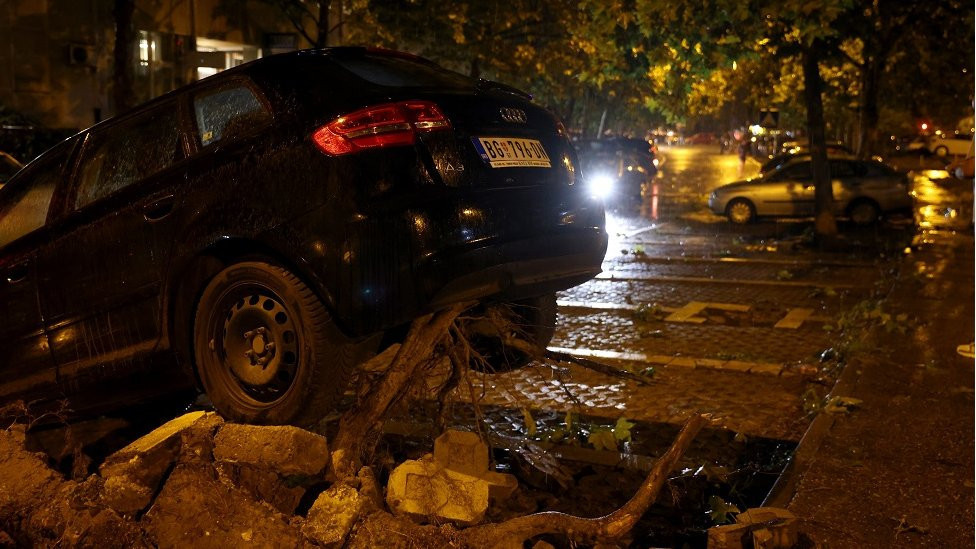 Nevreme u Beogradu čupalo je drveće i oštetilo automobile