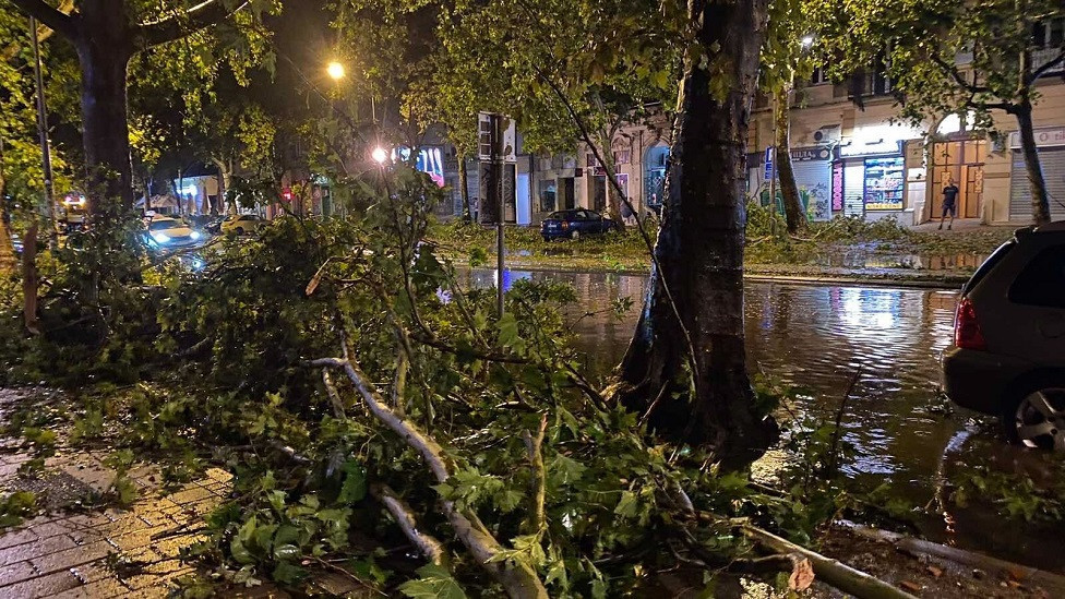 Reke vode su se slivale novosadskim ulicama usled obilnih padavina, a mnoga stabla su iščupana u naletima vetra