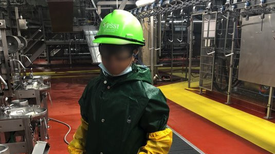 A child wearing protective clothing cleans equipment in a slaughterhouse