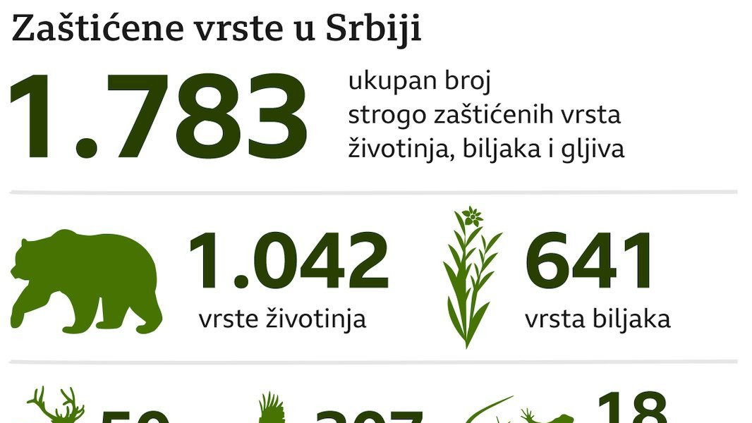 Infografika - Zaštićene vrste u Srbiji