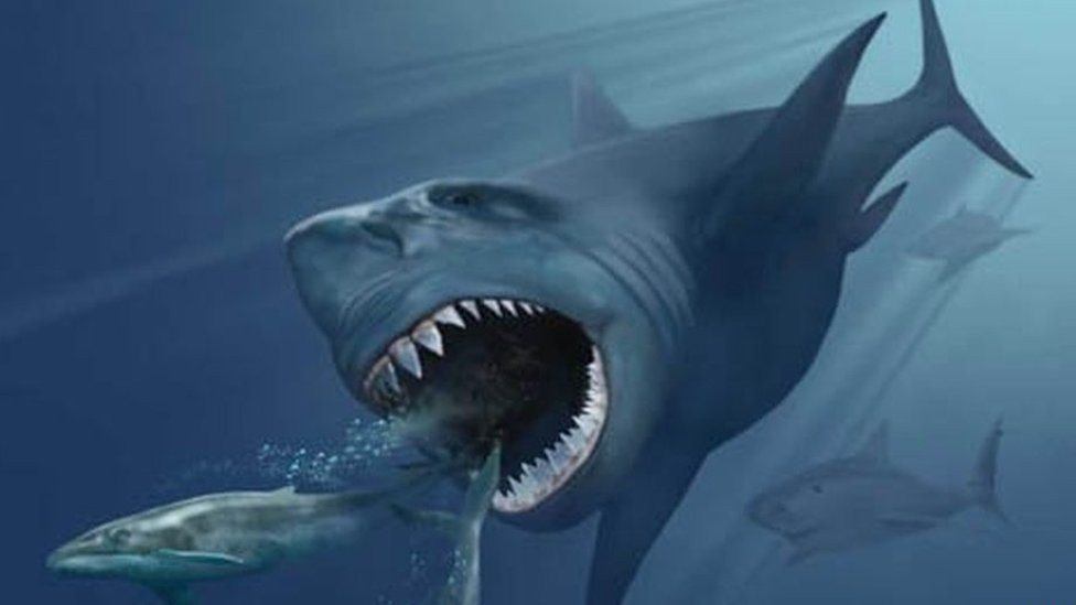 Megalodon