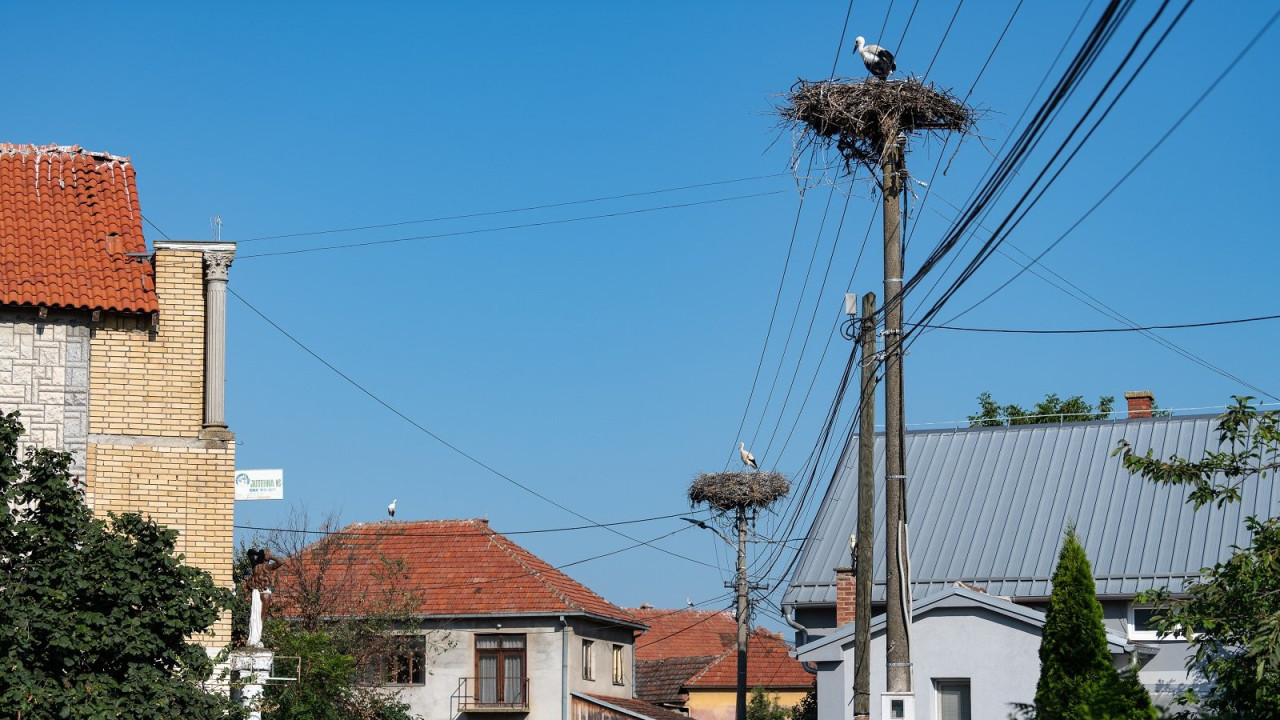 Donje Međurovo, selo u kome se traži bandera više za rode