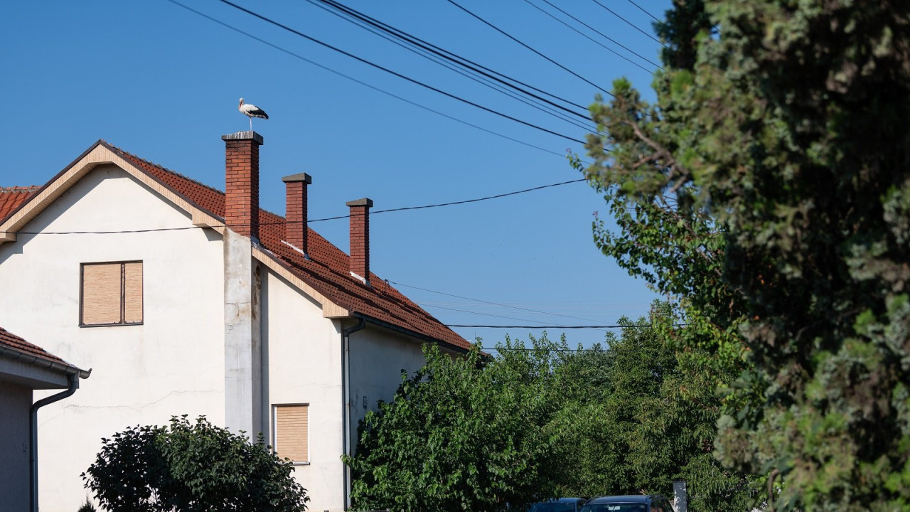 Rode Donje Međurovo