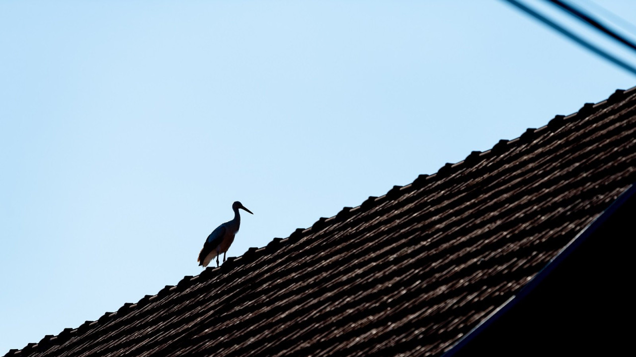 Rode Donje Međurovo