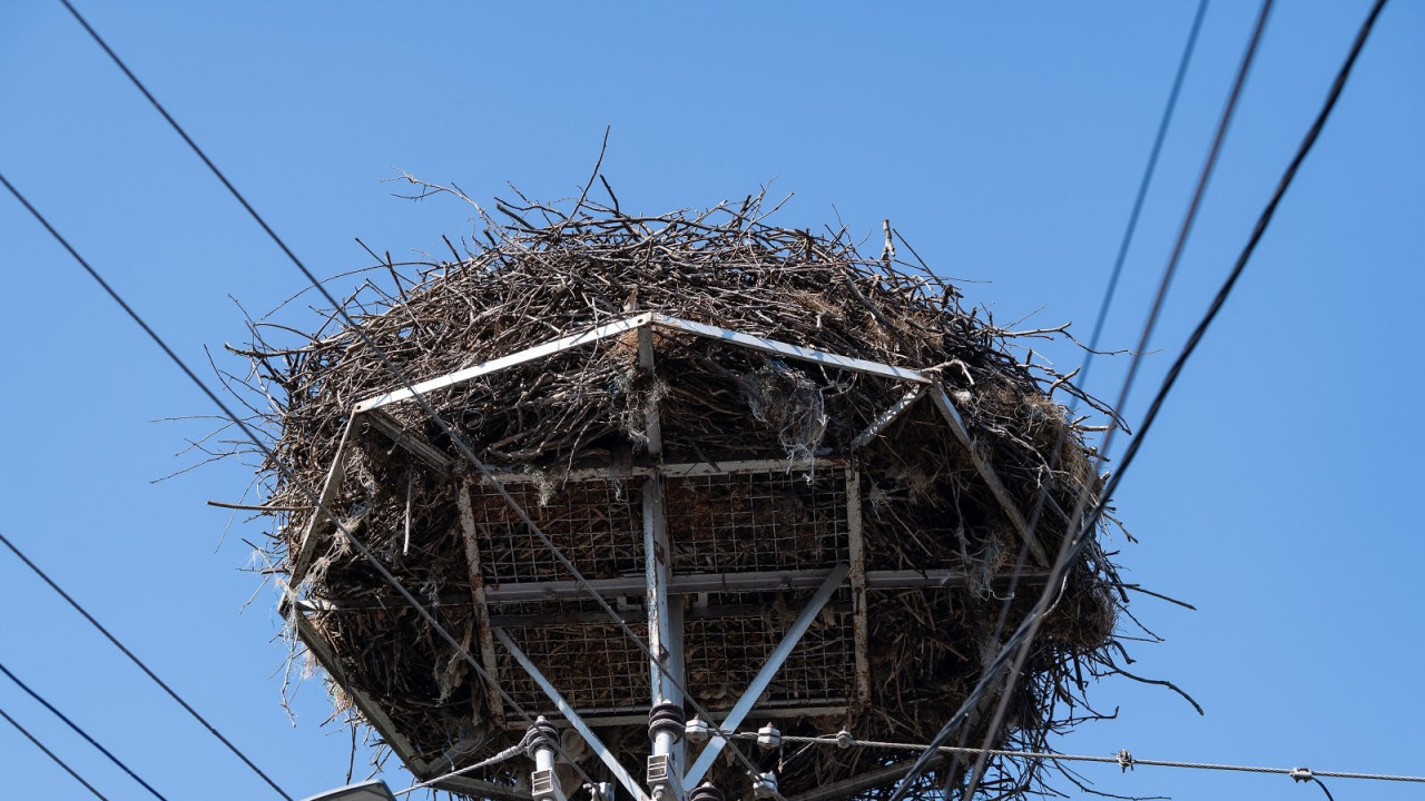 Rode Donje Međurovo