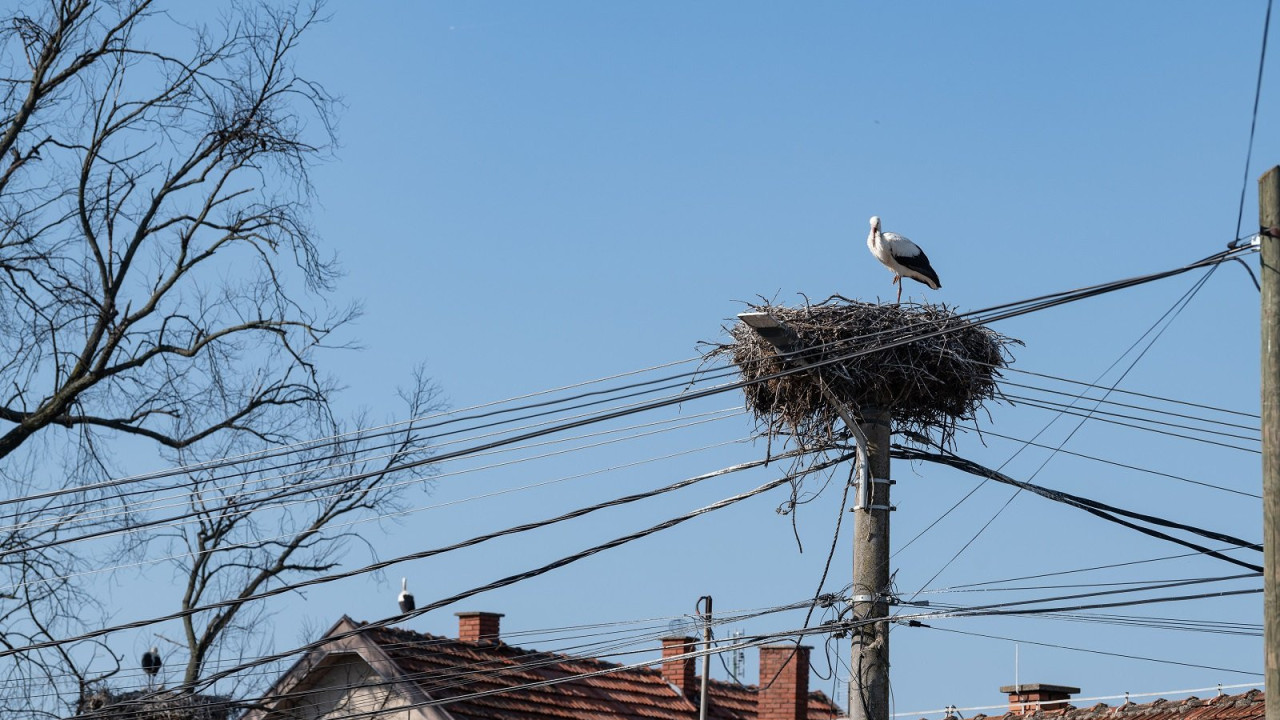 Rode Donje Međurovo