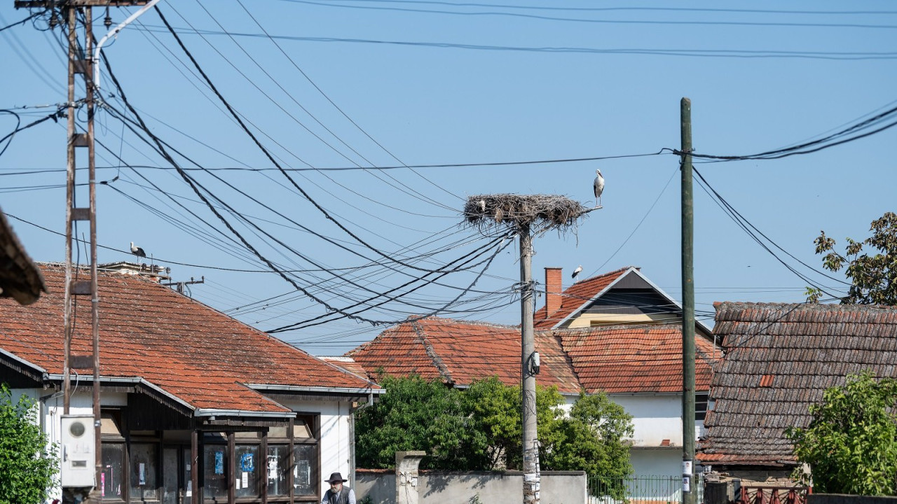 Rode Donje Međurovo