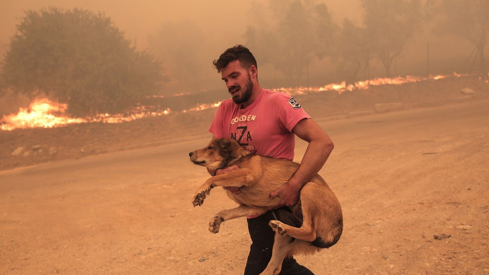 čovek nosi psa iz požara