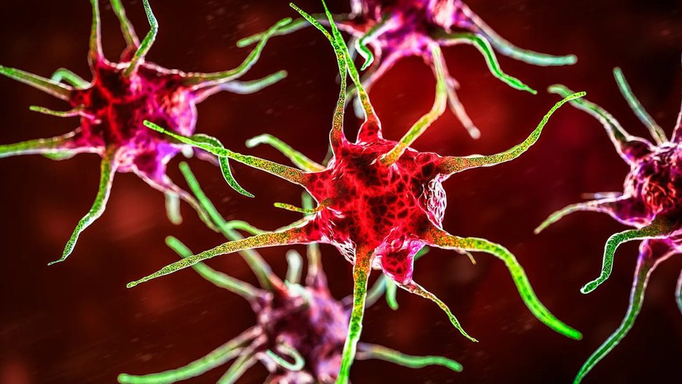 Patogenske bakterije