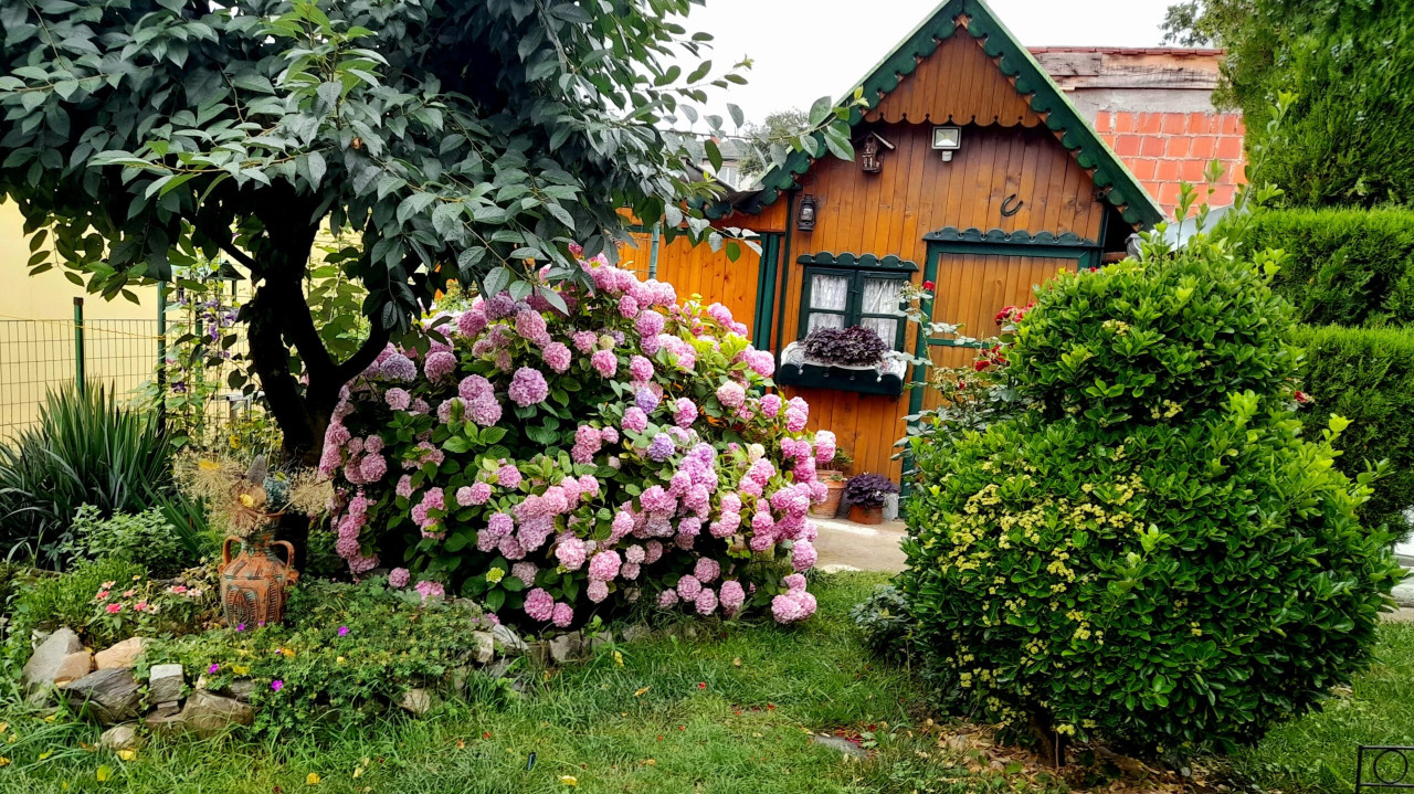 FOTO: Reč naroda
