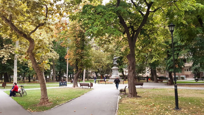 Foto/T.Spasojević jesen park
