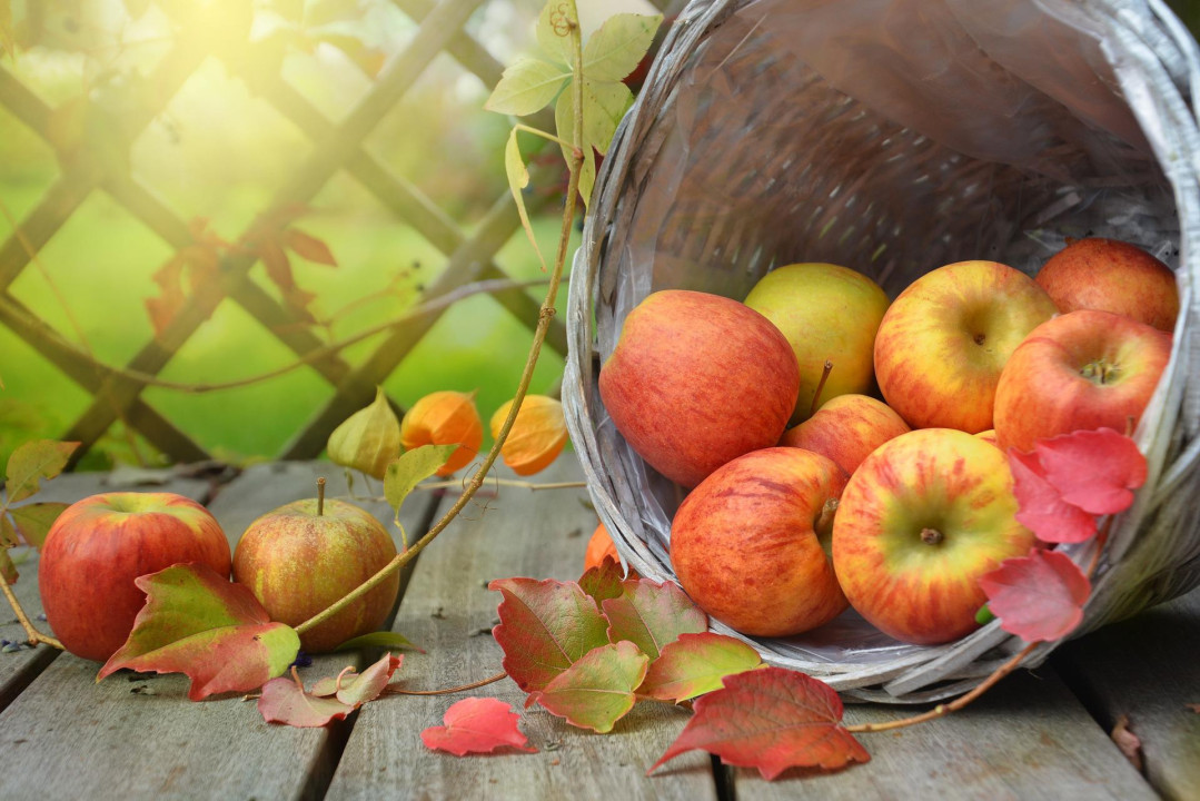 FOTO: Pixabay ilustracija
