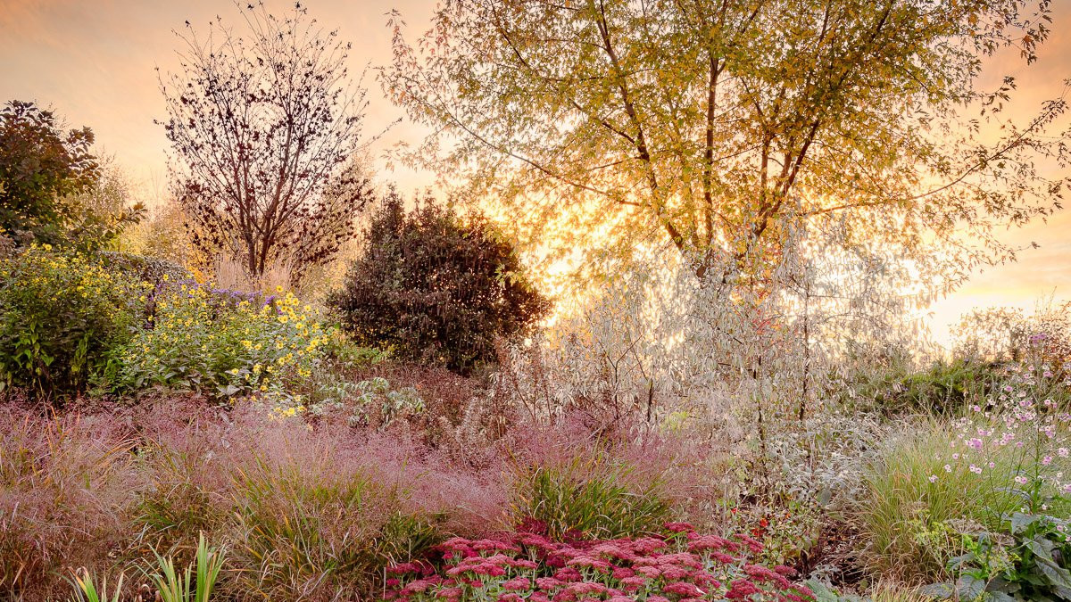 Private Garden, Suffolk, England, United Kingdom