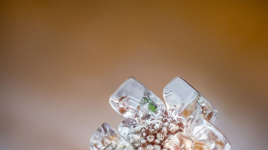 A 1mm tall Craterium minutum slime mould