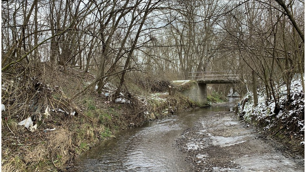 Bresnica, Čačak