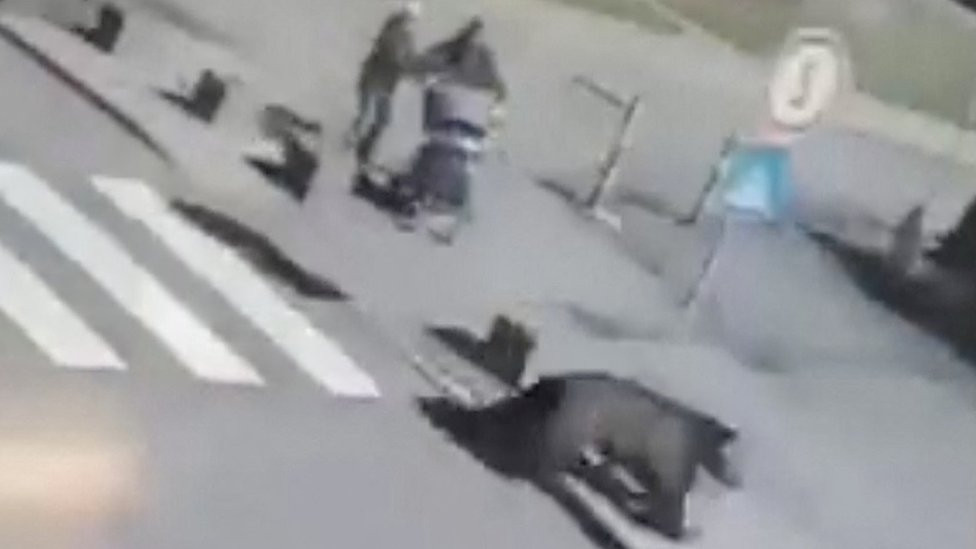 A brown bear runs across a road next to a zebra crossing in the town of Liptovsky Mikulas, Slovakia on 17 March