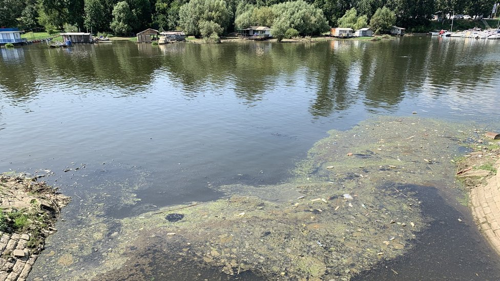 ušće Topčiderske reke u Savski rukavac