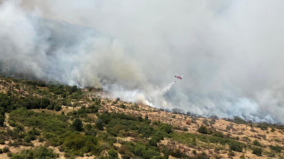 požar, šumski požar u Srbiji, požar na Vidliču