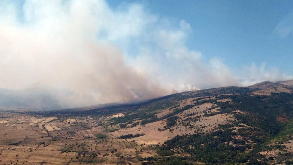 požar, šumski požar u Srbiji, požar na Vidliču