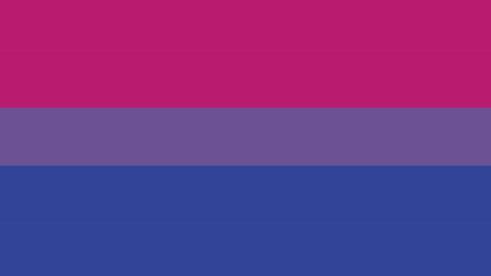 The pink, blue and purple bisexual flag