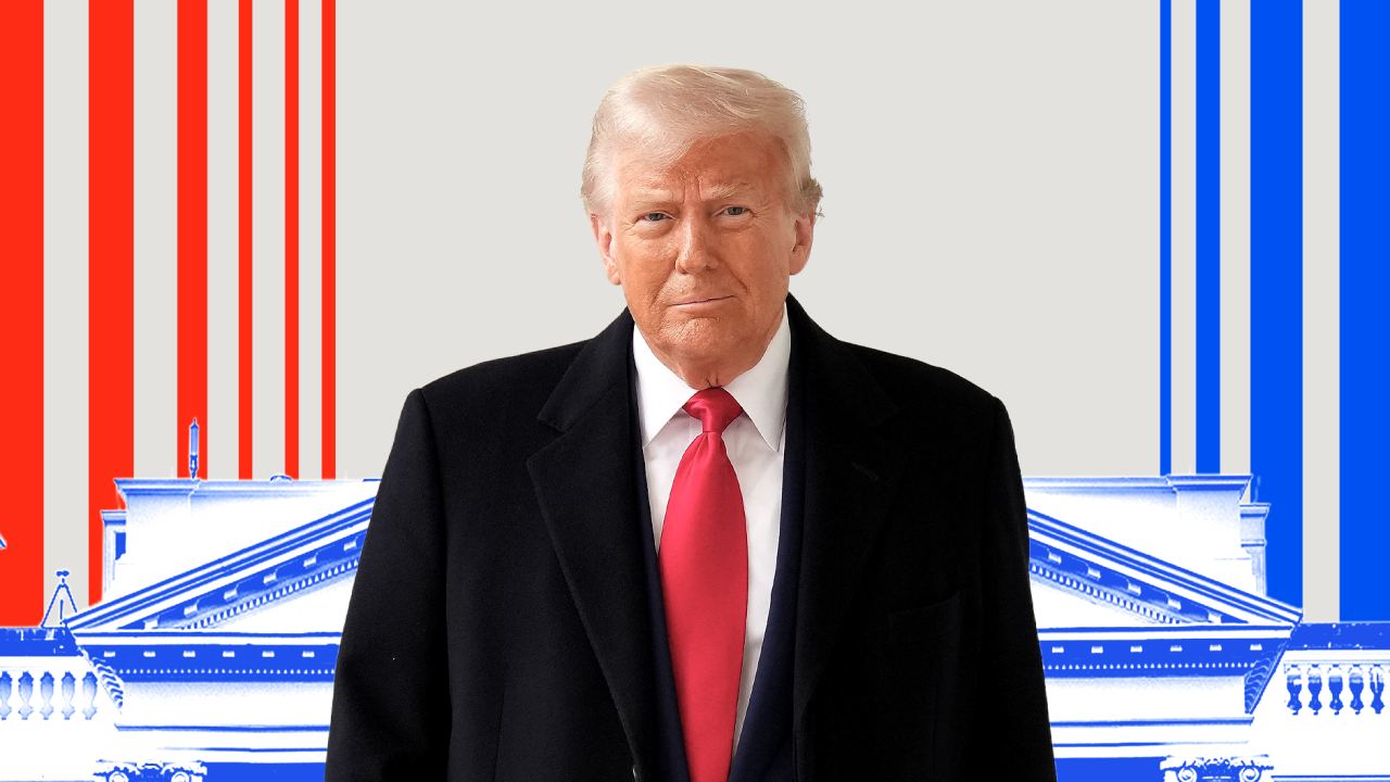 Tramp, donald tramp
