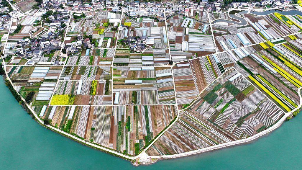 Fotografija iz vazduha - polja okružena vodom. U provinciji Sečuan u Kini uzgaja se povrće, mart 2025.